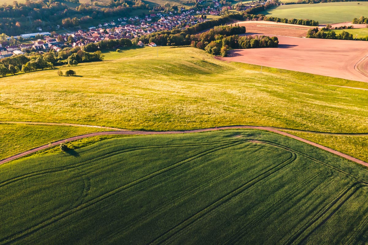 Pole připravené k setí