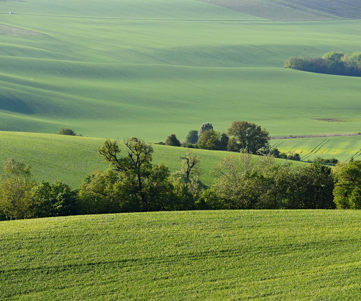 AGROSPOL Malý Bor, a.s.