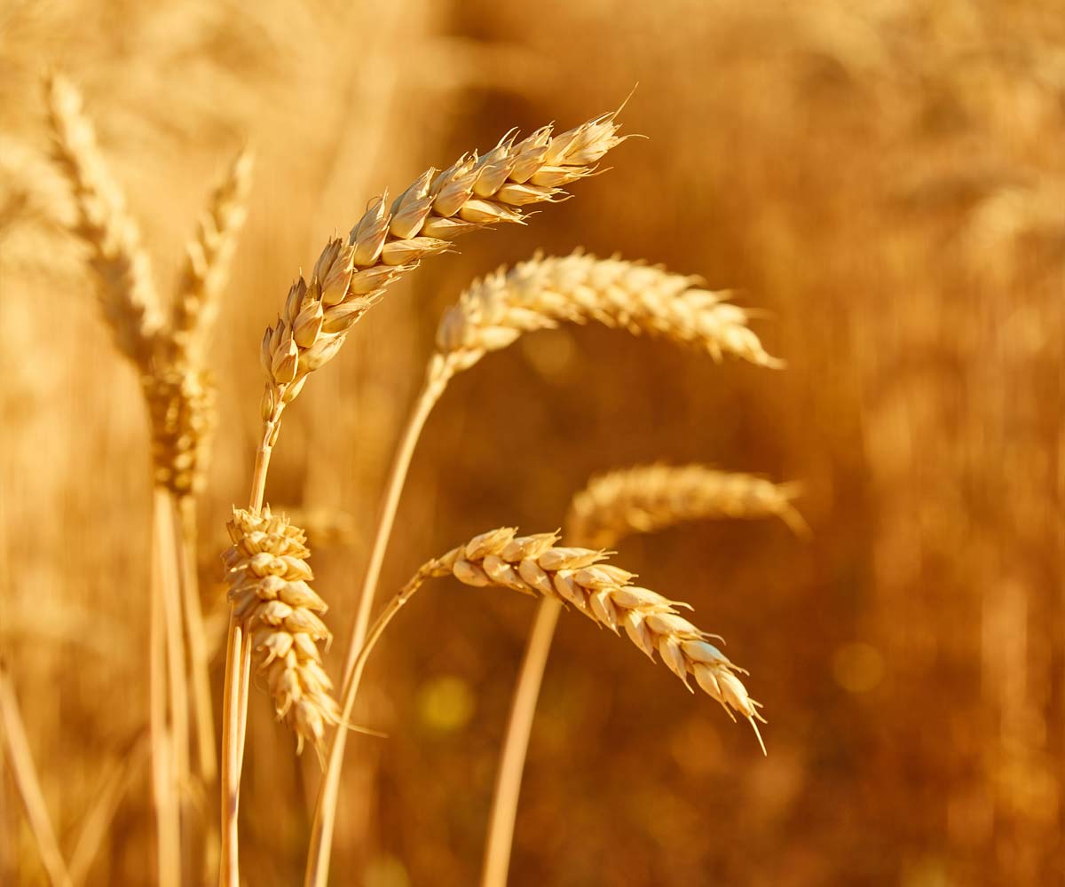 Statek Kumberk, s. r. o.